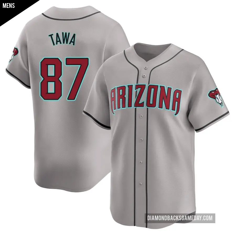 Men's Arizona Diamondbacks ＃87 Timothy Tawa Limited Gray Away Jersey