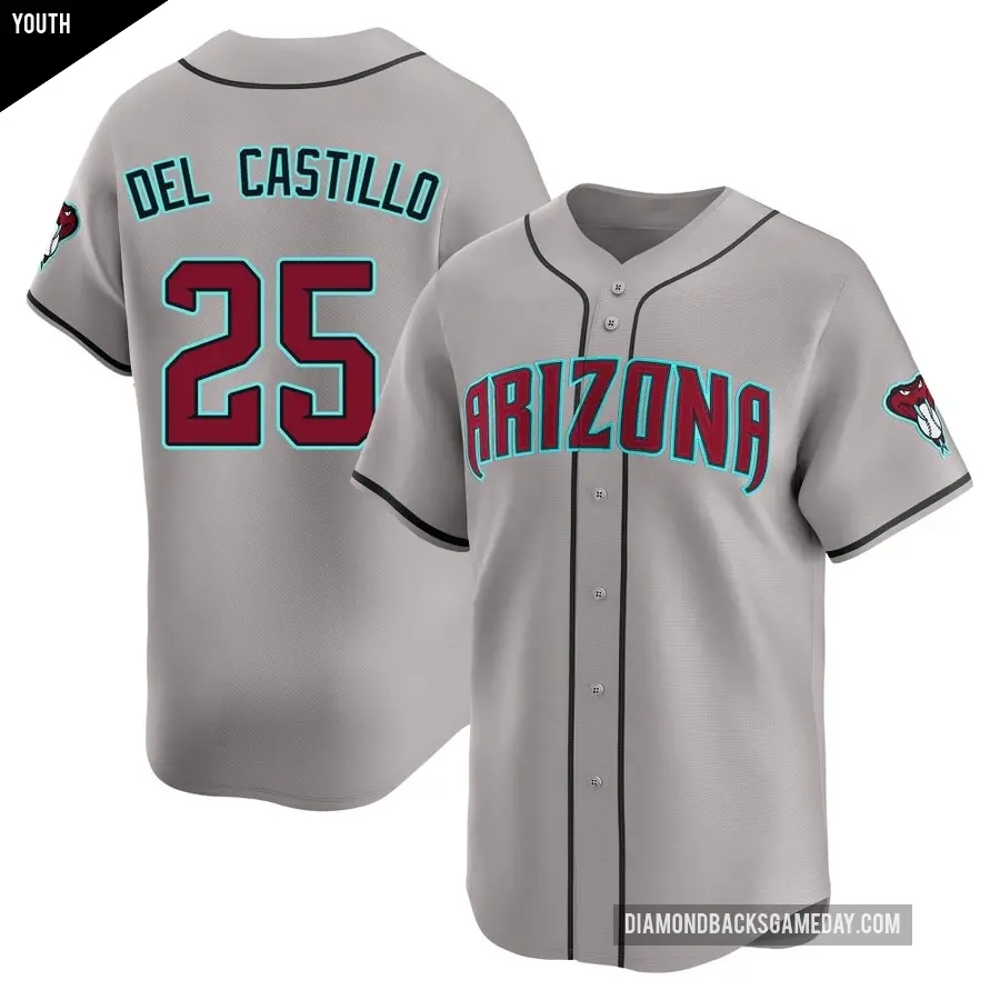 Youth Arizona Diamondbacks ＃25 Adrian Del Castillo Limited Gray Alternate Jersey