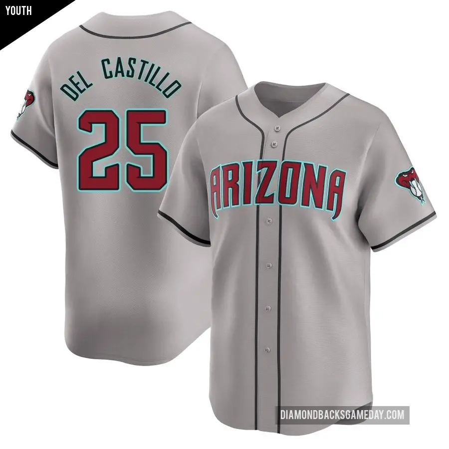 Youth Arizona Diamondbacks ＃25 Adrian Del Castillo Limited Gray Away Jersey