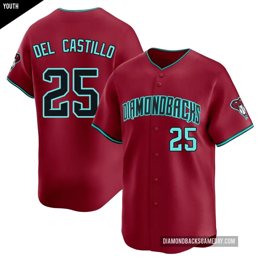 Youth Arizona Diamondbacks ＃25 Adrian Del Castillo Limited Red Alternate Jersey