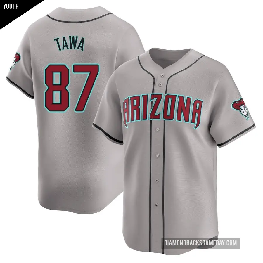 Youth Arizona Diamondbacks ＃87 Timothy Tawa Limited Gray Away Jersey